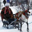 Riding a reindeer sledge (Photo: Lise Åserud, Scanpix)